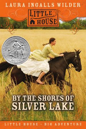 Cover image for By the Shores of Silver Lake by Laura Ingalls Wilder.