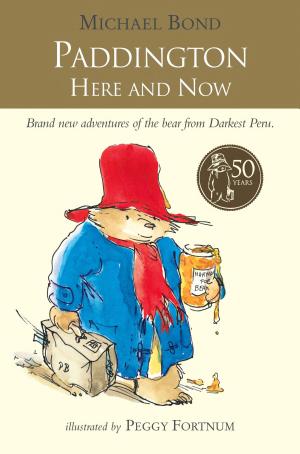 Cover image for Paddington Here and Now by Michael Bond.