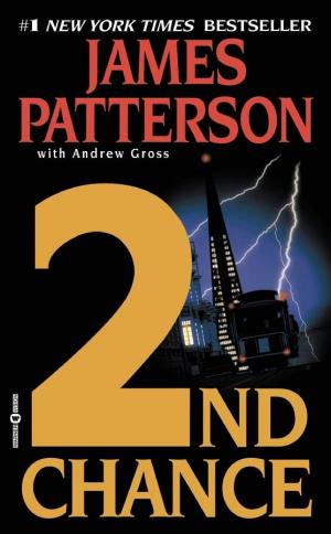 Cover image for 2nd Chance by James Patterson.