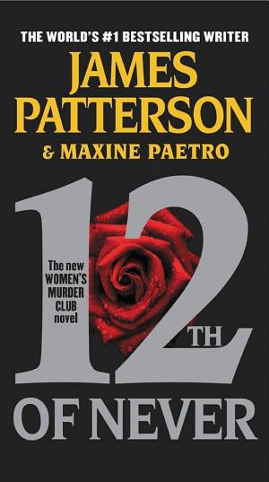 Cover image for 12th of Never by James Patterson & Maxine Paetro.