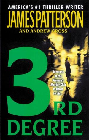 Cover image for 3rd Degree by James Patterson & Andrew Gross.