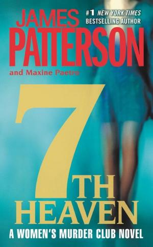 Cover image for 7th Heaven by James Patterson & Maxine Paetro.