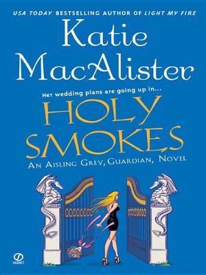 Cover image for Holy Smokes by Katie Macalister.