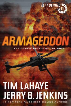 Cover image for Armageddon by Tim LaHaye & Jerry B. Jenkins.