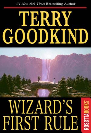 Cover image for Wizard's First Rule by Terry Goodkind.