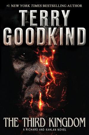 Cover image for The Third Kingdom by Terry Goodkind.