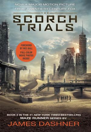 Cover image for The Scorch Trials by James Dashner.