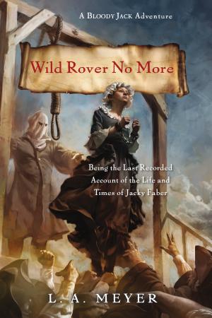 Cover image for Wild Rover No More by L. A. Meyer.