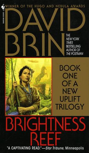 Cover image for Brightness Reef by David Brin.