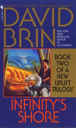 Cover image for Infinity's Shore by David Brin.