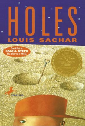 Cover image for Holes by Louis Sachar.