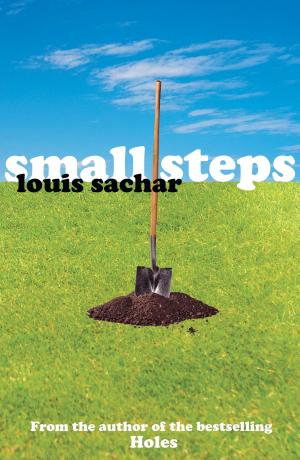 Cover image for Small Steps by Louis Sachar.