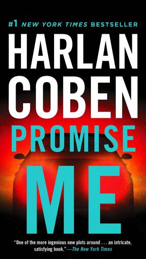 Cover image for Promise Me by Harlan Coben.