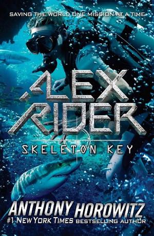 Cover image for Skeleton Key by Anthony Horowitz.