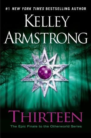 Cover image for Thirteen by Kelley Armstrong.