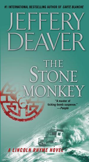 Cover image for The Stone Monkey by Jeffery Deaver.