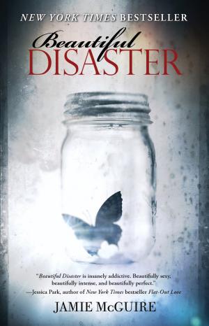 Cover image for Beautiful Disaster by Jamie McGuire.