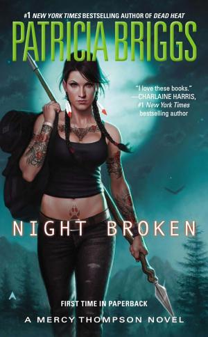 Cover image for Night Broken by Patricia Briggs.