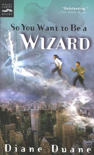 Cover image for So You Want to Be a Wizard by Diane Duane.