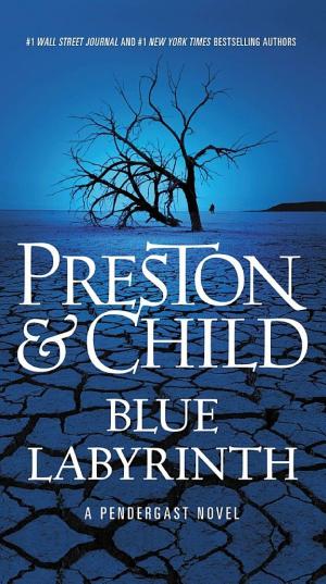 Cover image for Blue Labyrinth by Douglas Preston & Lincoln Child.