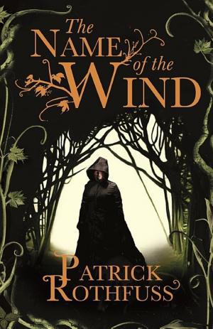 Cover image for The Name of the Wind by Patrick Rothfuss.