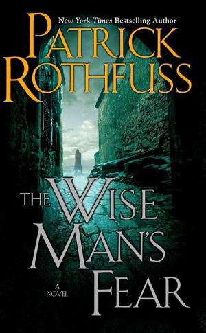 Cover image for The Wise Man's Fear by Patrick Rothfuss.