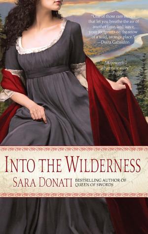 Cover image for Into the Wilderness by Sara Donati.