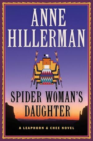 Cover image for Spider Woman's Daughter by Anne Hillerman.