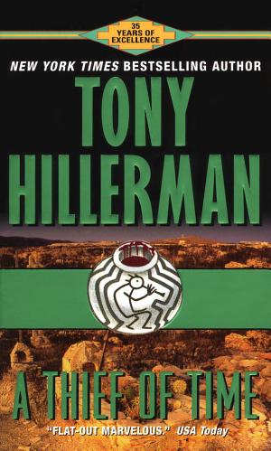 Cover image for A Thief of Time by Tony Hillerman.