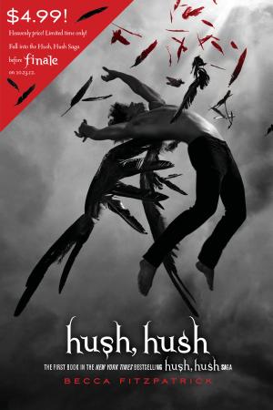 Cover image for Hush, Hush by Becca Fitzpatrick.